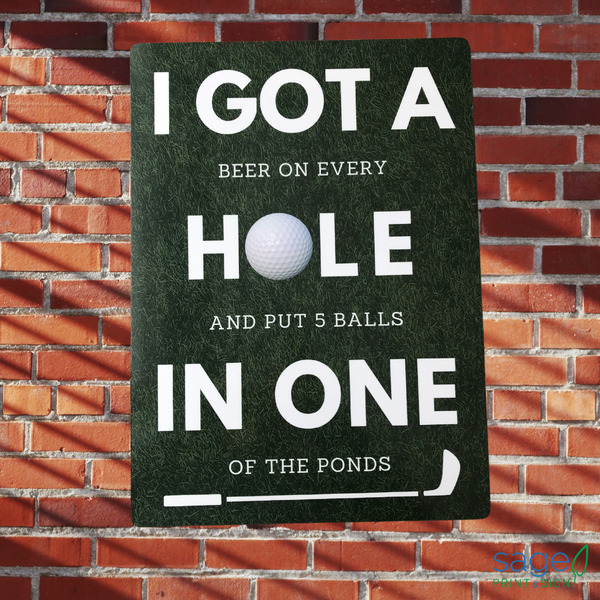 Funny 'Hole in One' Golf Metal Sign