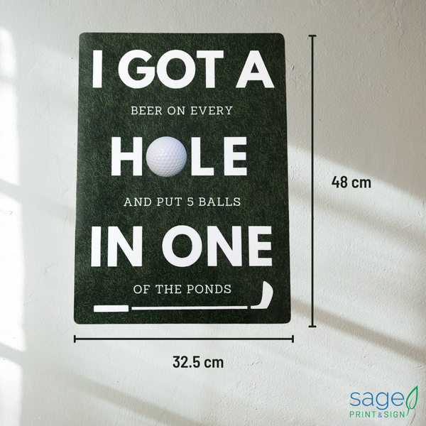 Funny 'Hole in One' Golf Metal Sign