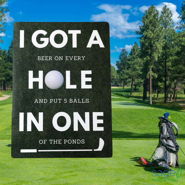 Funny 'Hole in One' Golf Metal Sign
