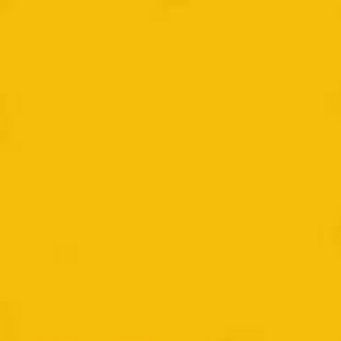 Daffodil Yellow Vinyl