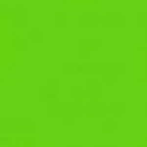 Lime Green Vinyl