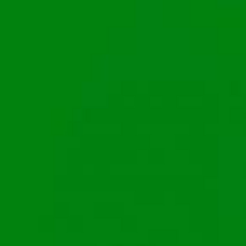 Kelly Green Vinyl