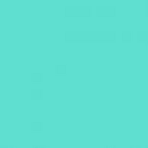 Mint Vinyl